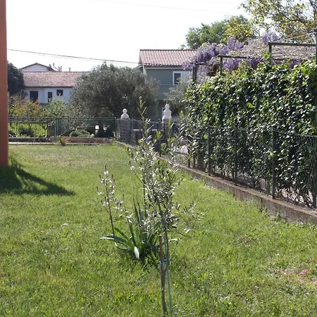 Family-friendly With Swimming Pool Sukosan, Zadar - 3273 * Sukošan